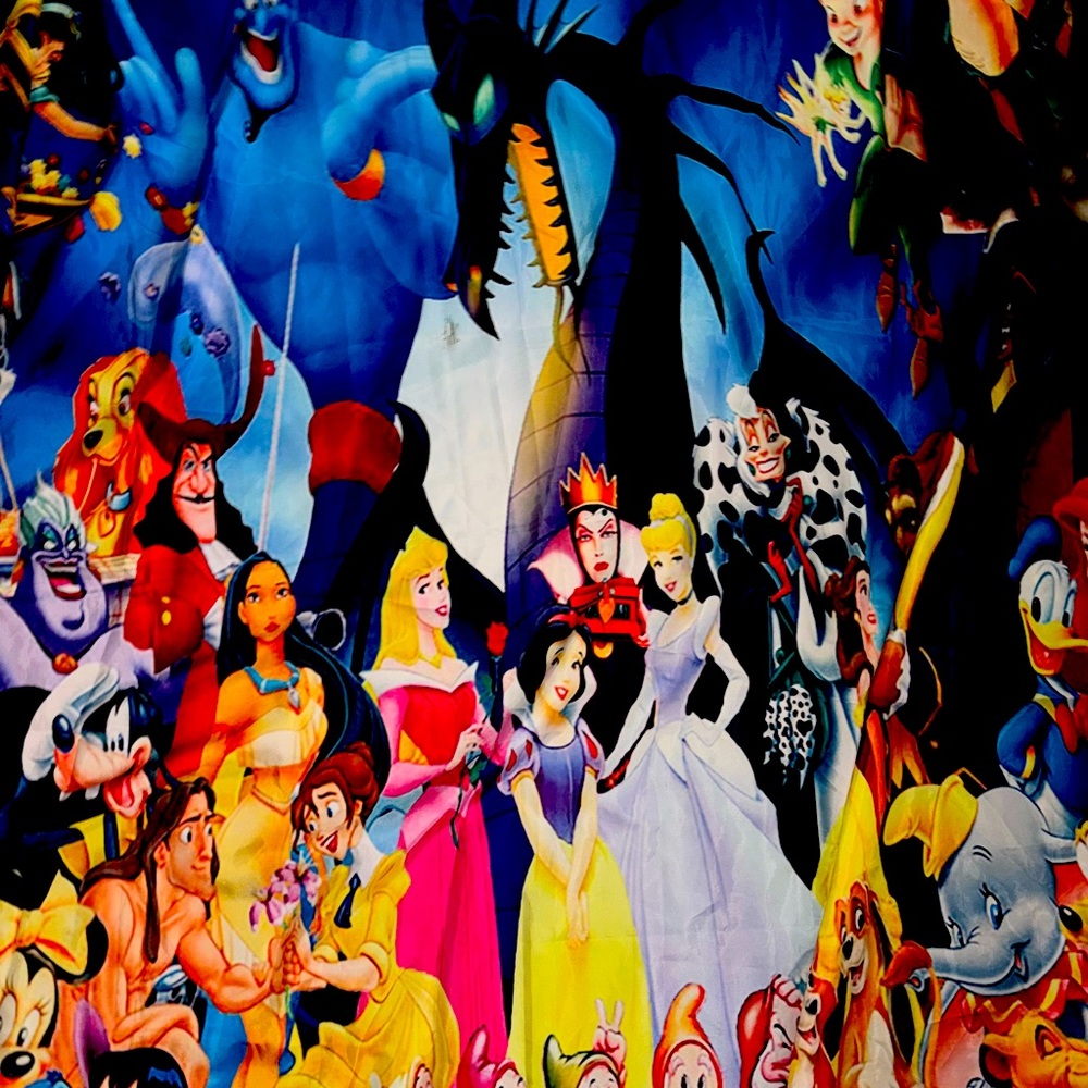 Disney Shower Curtain
